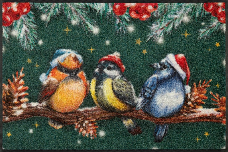 061C6B1246CFE07F1BD21BFBD47E6894_9010216064674-Tappetino-Wash-Dry-Magic-Birds-50x75-di-Kleen-Tex-Zanoletti-1 Tappetino Wash+Dry Magic Birds 50x75 di Kleen-Tex - immagine 1