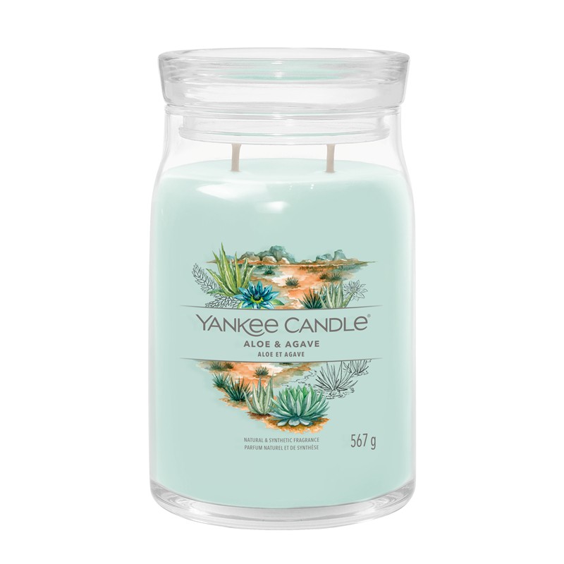 244A7AAC00CA757EB84F0540FA3C5D40_5038581158778-Aloe_Agave_Giara_Grande_di_Yankee_Candle-zanoletti-1 Aloe Agave Giara Grande di Yankee Candle - immagine 1