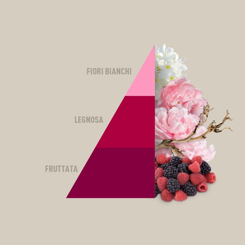 Petali di peonia Profuma bucato 250 ml di Horomia - immagine 3