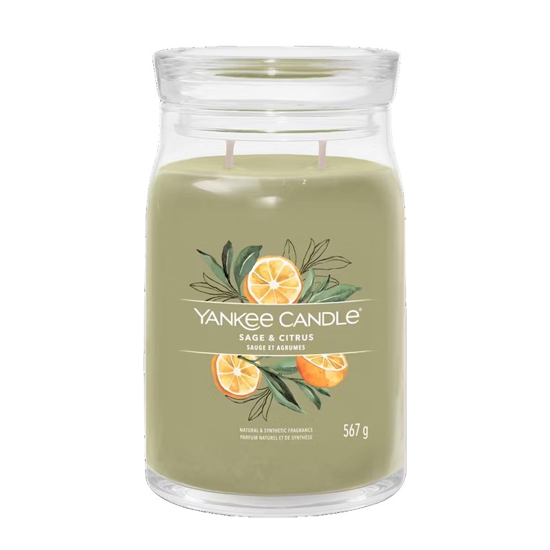 DE23C0600A87FC4E5FA68FCE51BFF4A9_5038581129365-Sage__Citrus_Giara_Grande_Signature_di_Yankee_Candle-Zanoletti-1 Sage & Citrus Giara Grande Signature di Yankee Candle - immagine 1